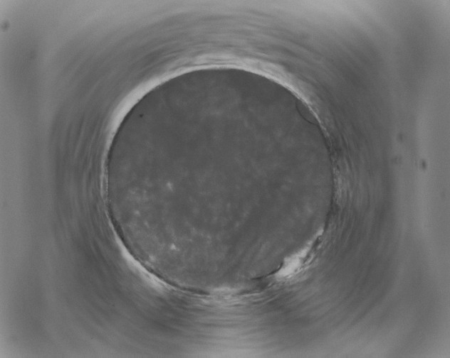 X0000068771527200605191635