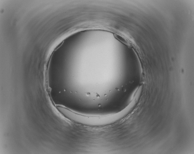 X0000068771528200605191635