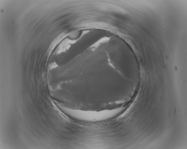 X0000068771529200605191635