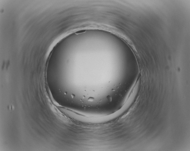 X0000068771530200605191635