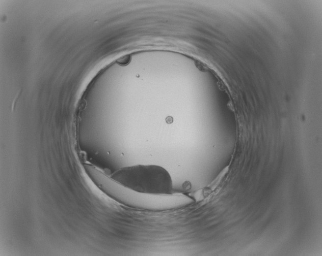 X0000068771531200605191636