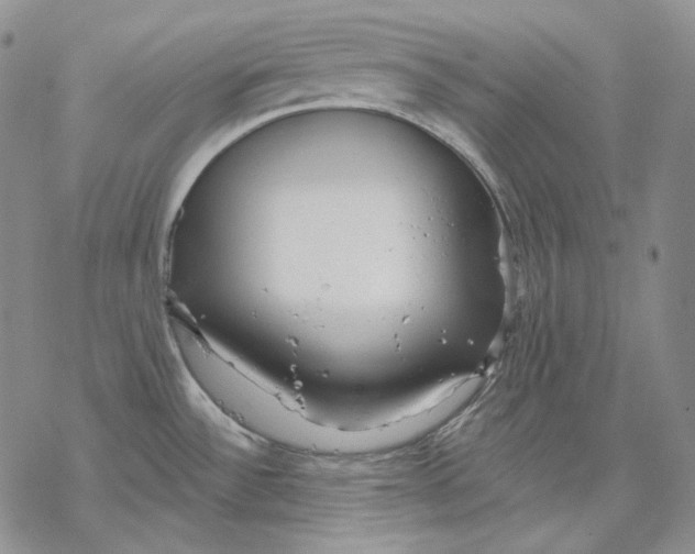 X0000068771532200605191636