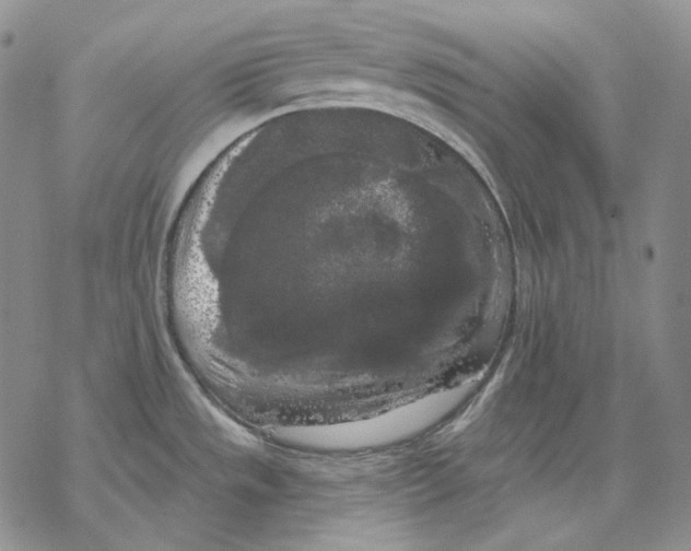 X0000068771533200605191636