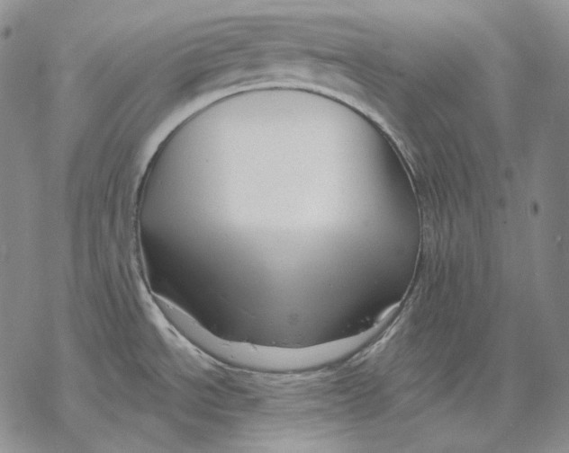 X0000068771534200605191636