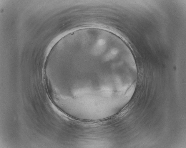 X0000068771535200605191636