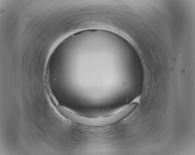 X0000068771536200605191636