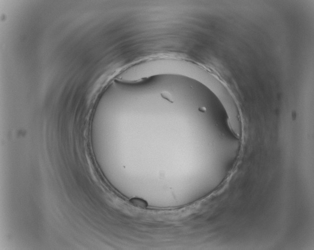 X0000068770001200605262218