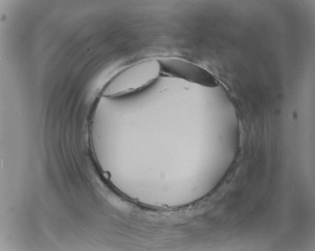 X0000068770005200605262218