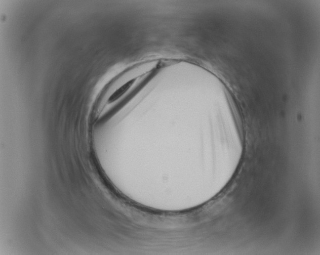 X0000068770008200605262217