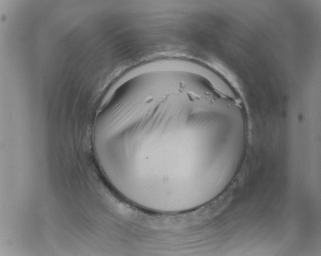 X0000068770009200605262217