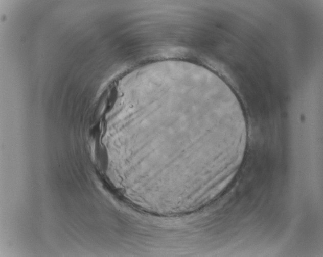 X0000068770010200605262217