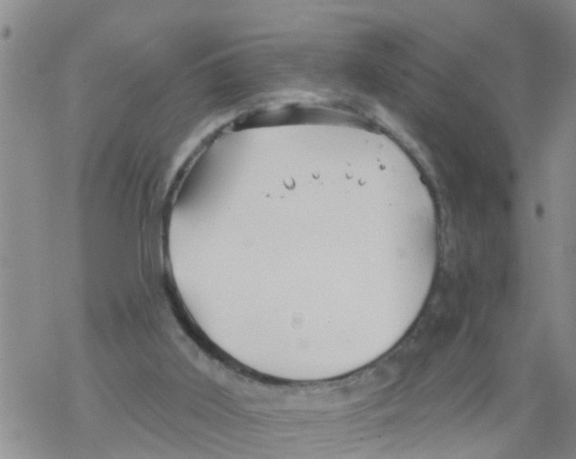 X0000068770011200605262217