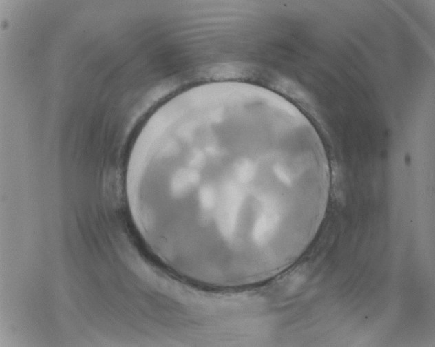 X0000068770012200605262217