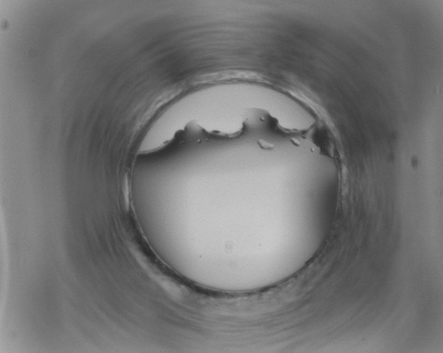 X0000068770013200605262217