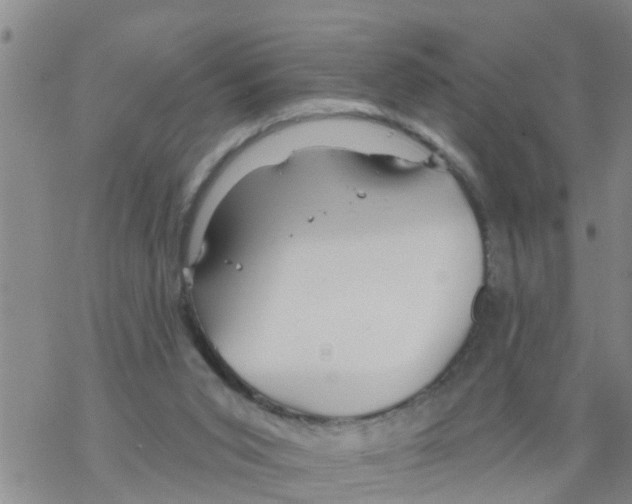 X0000068770015200605262217