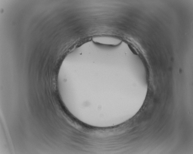 X0000068770017200605262217