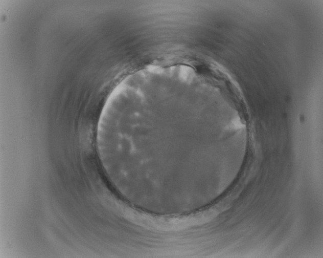 X0000068770018200605262217