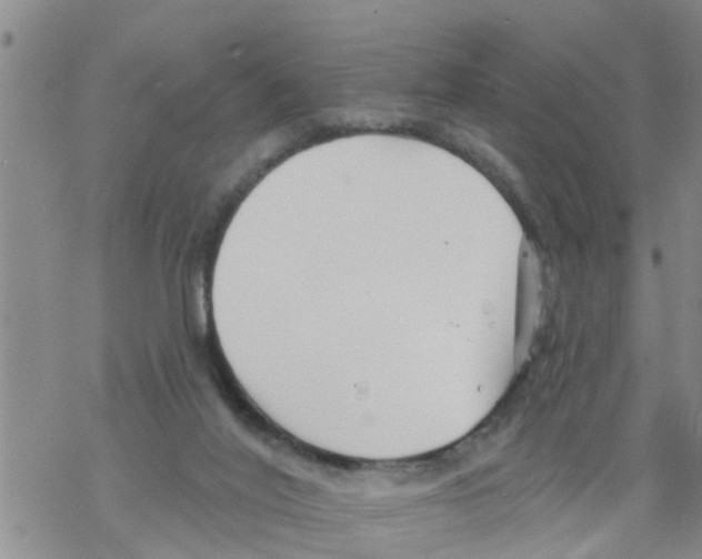 X0000068770020200605262217