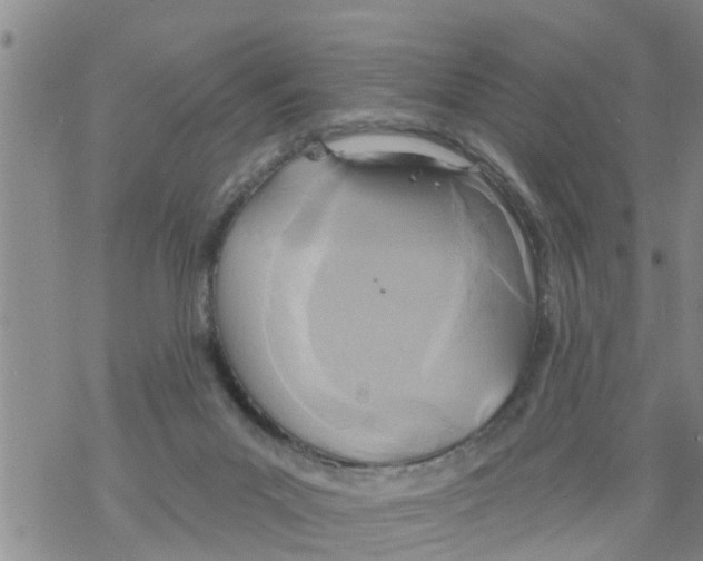 X0000068770023200605262217