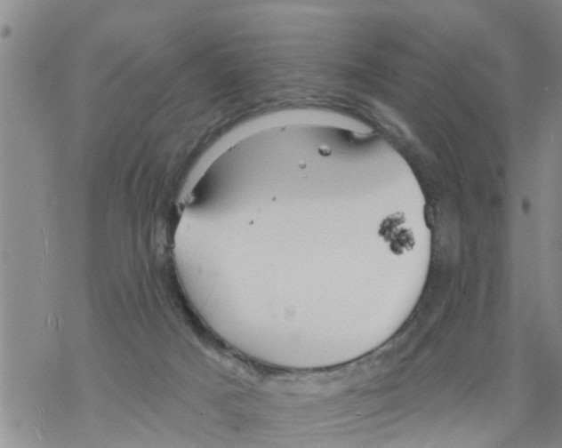 X0000068770025200605262217