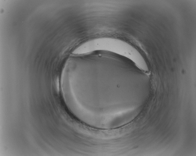 X0000068770027200605262217