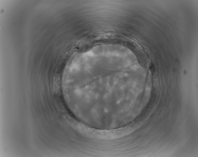 X0000068770030200605262217