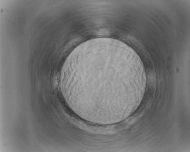 X0000068770032200605262217