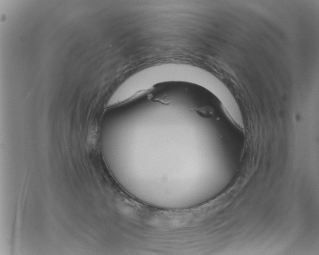 X0000068770033200605262217