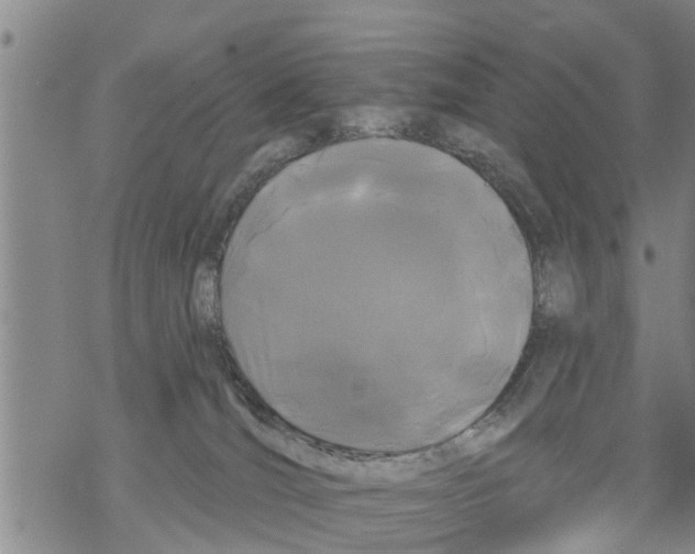 X0000068770036200605262217