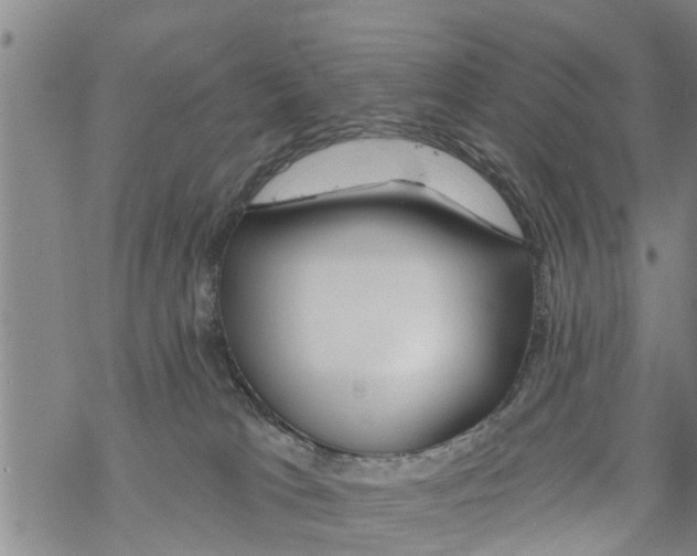 X0000068770037200605262217