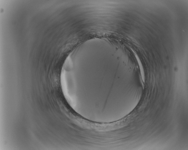 X0000068770039200605262217