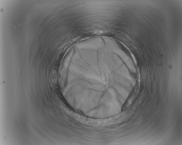 X0000068770043200605262217