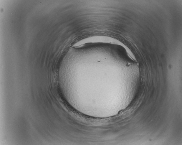 X0000068770044200605262217