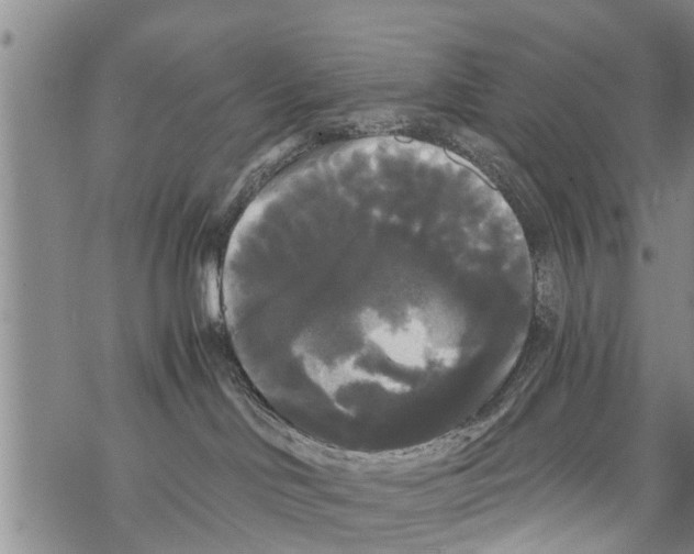 X0000068770046200605262217