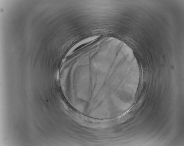 X0000068770047200605262217