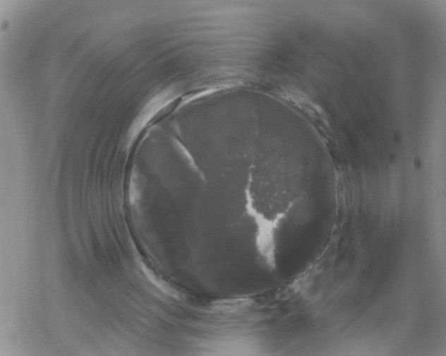 X0000068770051200605262216