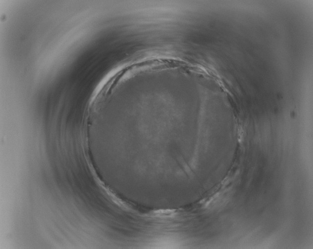 X0000068770052200605262216