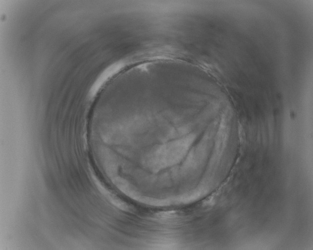 X0000068770054200605262216