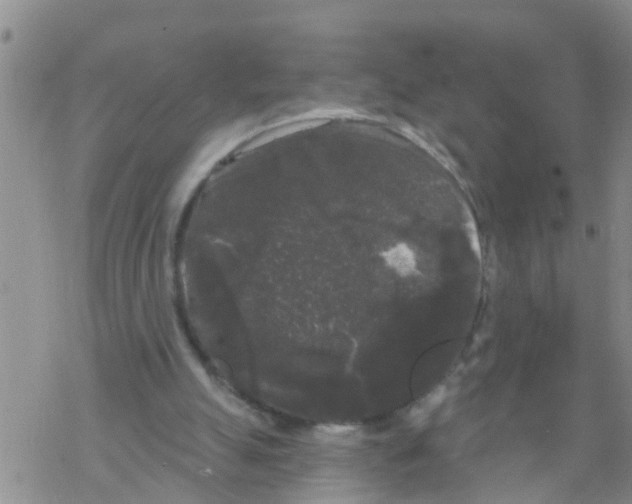 X0000068770055200605262216