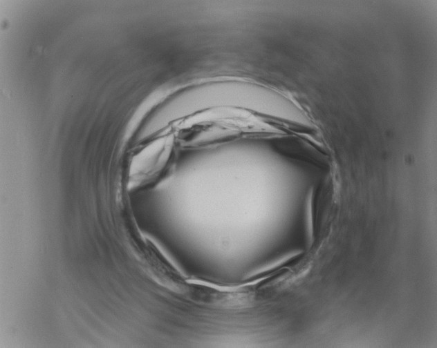 X0000068770056200605262216