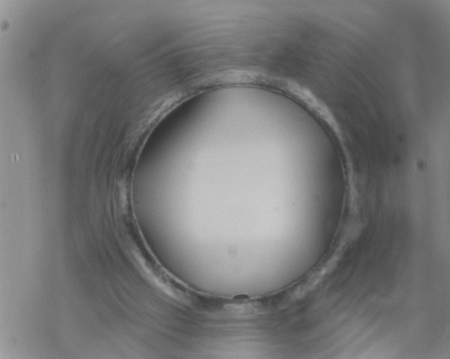 X0000068770057200605262216