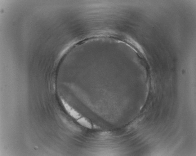 X0000068770059200605262216