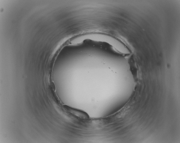 X0000068770060200605262216