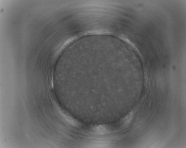 X0000068770062200605262216