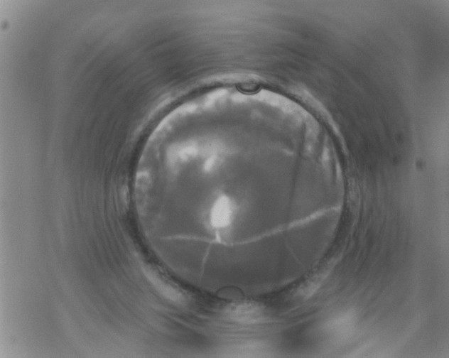 X0000068770063200605262216