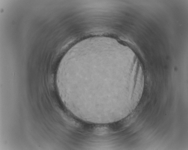 X0000068770066200605262216