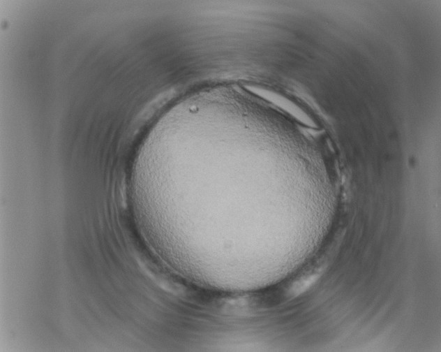 X0000068770068200605262216