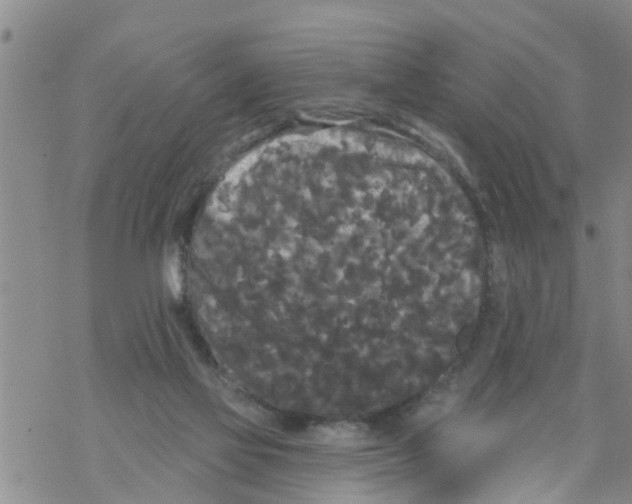 X0000068770069200605262216