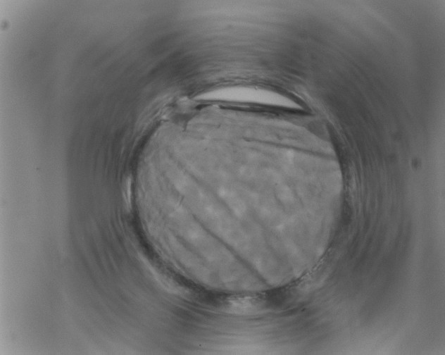 X0000068770070200605262216