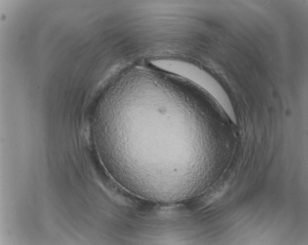 X0000068770072200605262216